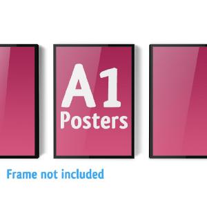 A1 Poster Image