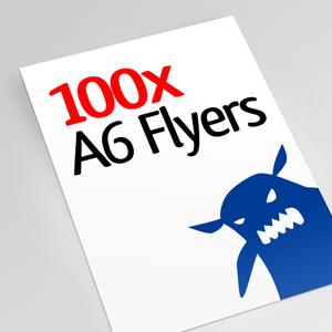 100x A6 Flyers Image