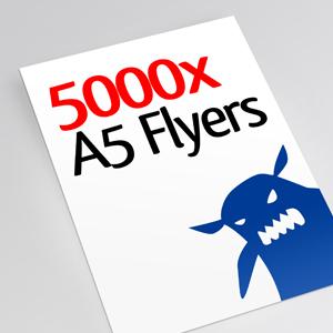 5000x A5 Flyers Image